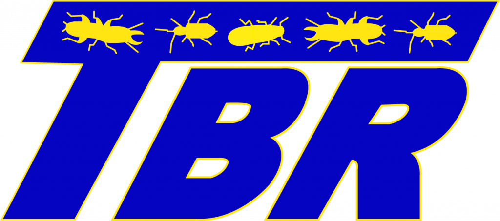 Traitement charpente bois Pyrénées-Orientales – TBR66