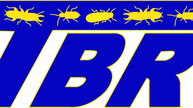 Traitement charpente bois Pyrénées-Orientales – TBR66